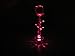 Light-Up Color Changing Glass Rose