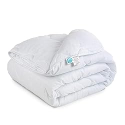 East Coast Bedding Cozy Dream Goose Down and