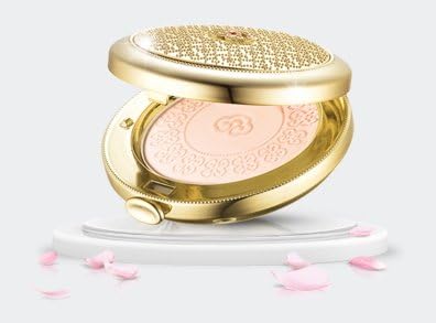 sun powder spf 50