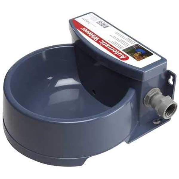 cet veggiedent regular