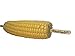 AMIAEDU Chuck 'EMS-The Original Disposable Corn on The Cob Holders,