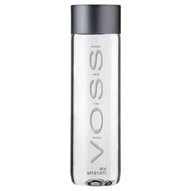 Voss Artesian Still Water 500ml