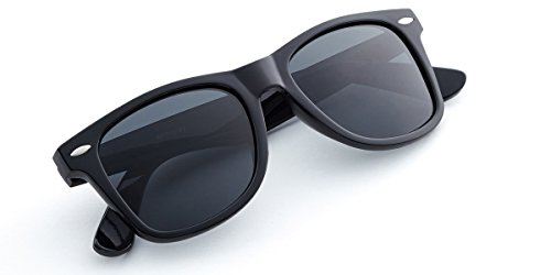 Retro Rewind Classic Polarized Sunglasses (Black | Smoke Polarized, 52)