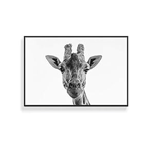 NWT Framed Canvas Wall Art for Living Room,...