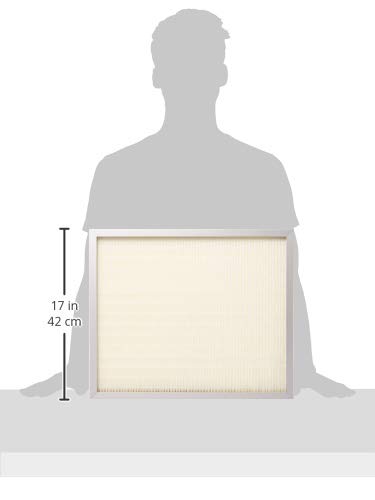 image for B-Air Scrubber Stage 2 HEPA Filter 2 Pack for Air Purifiers Negative A