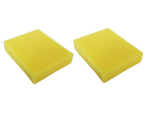 Best Vacuum Filter 2 Pack Compatible with Bissell Foam Pre-Filter 2032662 for CleanView & Powerlifter Upright Vacuum