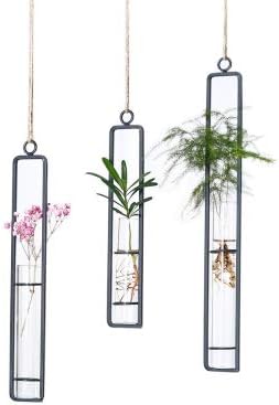 Hydroponic Hanging Long Glass Vase with Iron Frame Potted Plant Container (Upgraded)