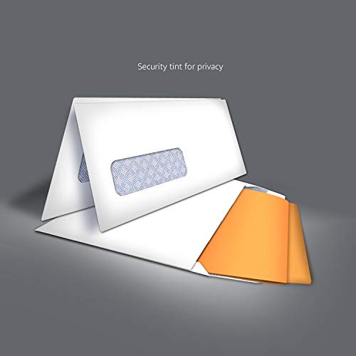 Amazon Basics 10 SecurityTinted SelfSeal Business Envelopes with