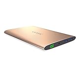 Vinsic 20000mAh Power Bank, Dual USB Portable External Battery Charger for Smartphones and Tablet PC, Golden