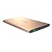 Vinsic 20000mAh Power Bank, Dual USB Portable External Battery Charger for Smartphones and Tablet PC, Golden