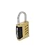 Wordlock 4-Dial Sports Combination Padlock Choose Your Own Resettable Word Combination - 10,000 Choices, Brass | 128282