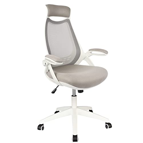 HYLONE Ergonomic Office Desk Chair, HighBack Mesh Computer Chair with