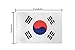 South Korea Flag,TSMD 100 Feet Korean Flag National Country World Pennant Flags Banner,Party Decorations For Grand Opening,Olympics,Bar,World Cup,School Sports Event,International Festival Celebration