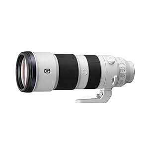 Sony FE 200-600mm F5.6-6.3 G OSS Super Telephoto Zoom Lens (SEL200600G)