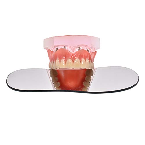 image for Wecando 5Pcs Dental Reflector Mirror Two-sided Photographic Oral Mirro