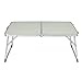Milliard Aluminum Laptop Foldable Table, Breakfast in Bed Tray, Standing Desk and Couch Desk for Home Office and Travel – Folds in Half with Interior Storage Space Durable.
