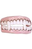 Fun World Vampire Character Teeth Accessory-