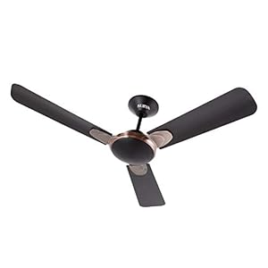 Surya Bliss 1200mm Decorative Ceiling Fan (Chocalate Brown), Standard (SU-BL-BRWN)