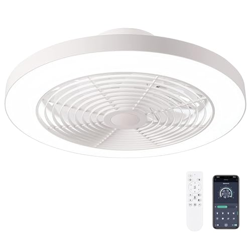 Orison Ceiling Fans with Lights, Low Profile Ceiling Fan with Lights and Remote, 6 Wind Speeds Smart Flush Mount Ceiling Fan for Bedroom, Kids Room and Living Room 19.7