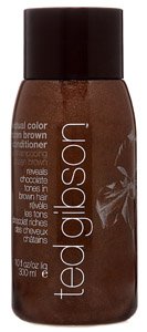 Ted Gibson Individual Color Conditioner, Brazen Brown 10 fl oz (300 ml)