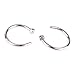 ZYG Pack of 10pcs Assorted Stainless Steel Body Jewelry Piercing Nose Ring Hoop