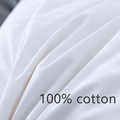 ANALIN 2 pack Goose Feather Down Pillows, 100% Cotton Shell, Non-allergenic & Anti dust mite, Soft Hotel Quality Pillows (50% Goose Down)