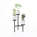DAR JACC140-WH Triad Floor Plant Stand, Blackthumb 1
