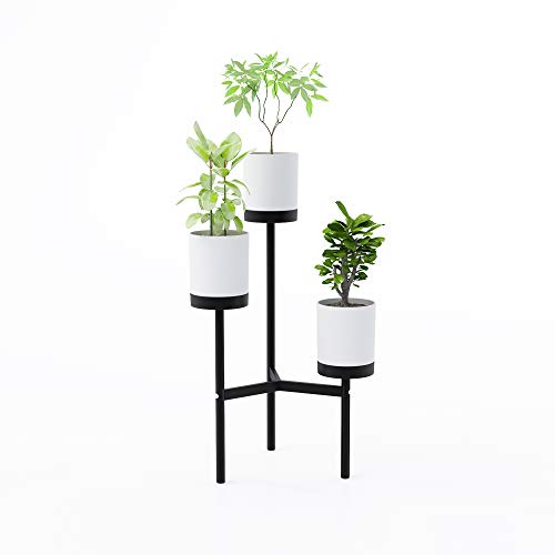 DAR JACC140-WH Triad Floor Plant Stand, Black
