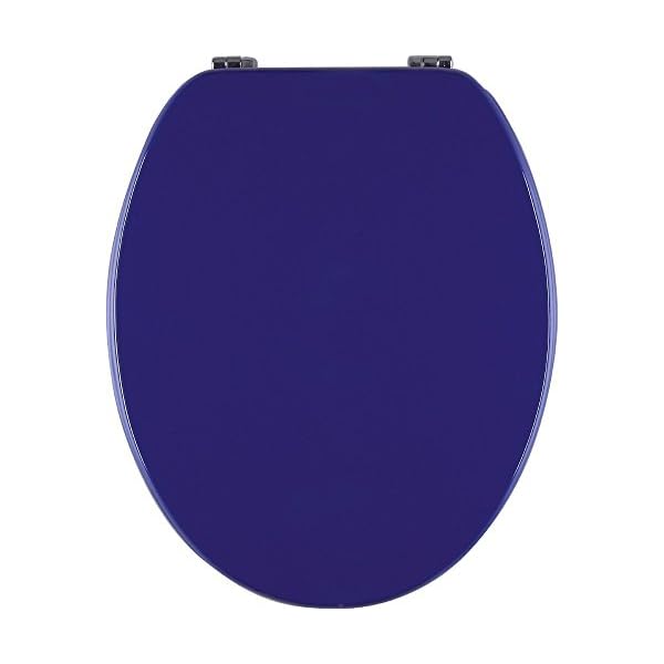 Blauer Toilettendeckel von SITZPLATZ