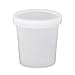 ePackageSupply 16 oz. (Pint) Containers with Lids | Food Storage Containers with Lids | Plastic Food Containers | Food Prep | Meal Prep | Freezer Containers | Food Containers (Translucent, 10)