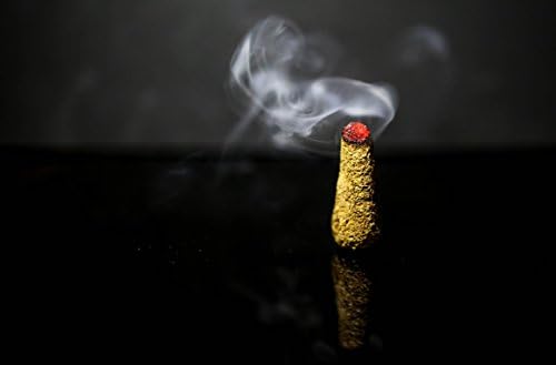 PALO Santo Incense 10 Cones Aromatic Smudging HOLY Wood
