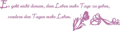 Indigos Wall Sticker, Vinyl, Lilac, 96 x 25 cm