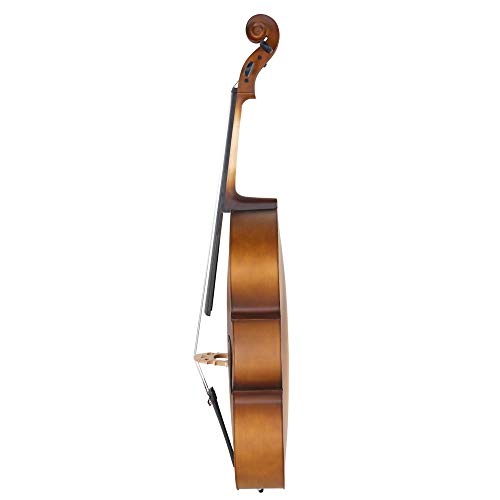 5 Acoustic+Beautiful+Varnish+Finishing+Golden