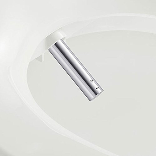 Bio Bidet Slim TWO Bidet Smart Toilet Seat in Elongated White with Stainless Steel Self-Cleaning Nozzle, Nightlight, Turbo Wash, Oscillating, and Fusion Warm Water Technology with Wireless Remote