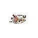 FATHEAD Action Sports Motocross Ryan Dungey- Officially Licensed Removable Wall Decal, Multicolor, Life-Size
