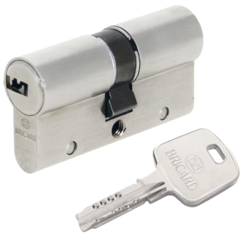 BRICARD 18002 Cylinder Lock Nickel-Plated Dual Serial Input XP 30 + 40