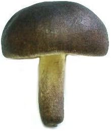 Vicien Artificial Mushroom, Dark Brown, Box of 12
