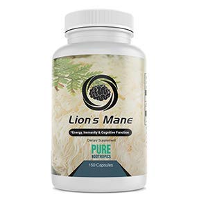 Shrooms Drug Test - Pure Nootropics - Lion's Mane Mushroom