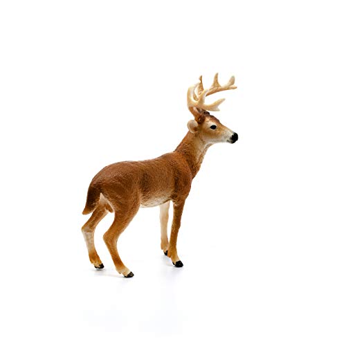 schleich 14818 Weißwedelhirsch, ab 3 Jahren, WILD LIFE - Spielfigur, 11 x 5 x 10 cm – Bild 5