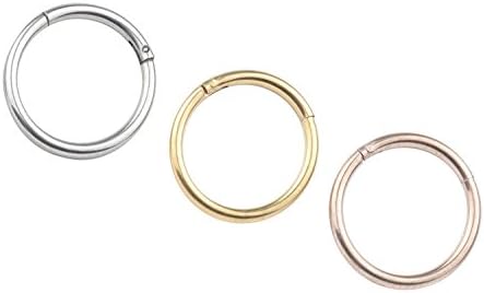 FB 16G 316L Stainless Steel Seamless Nose Ring Hoop Hinged Body Piercing Earring Hoop Clicker Ring……