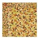 BoBunny Apple Cider Autumn Paper
