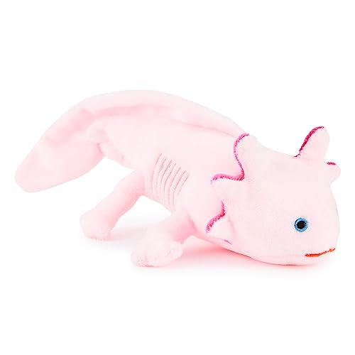 Axolotl