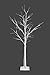 Plabingo 4FT Lighted Birch Tree Christmas Tree 48 LED Lights with Warm White Light, Artificial Decorative Tree for Christmas Home Holiday Garden Party Festival Wedding Decor, Indoor and Outdoor Use