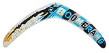 Ultimate Boomerang assorted colors