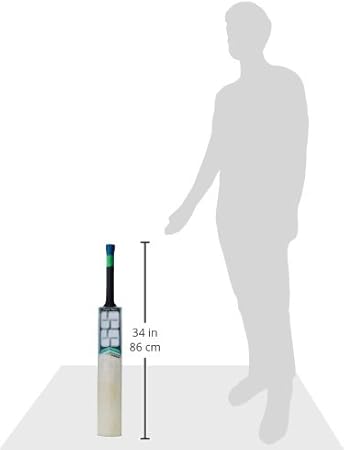 ss magnum english willow bat