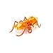 HEXBUG Pest Bundle (Ships Assorted)
