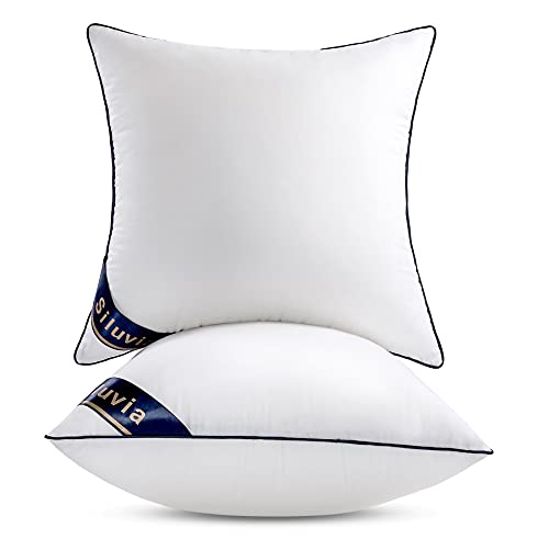 Siluvia 22" Pillow Insert Set