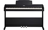 Roland RP102