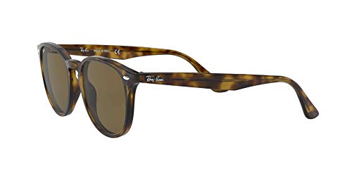 rb4259 sunglass hut