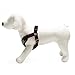 Gooby - Perfect Fit X Harness, Small Dog Choke Free Step-In Harness with Synthetic Lambskin Soft Strap, Green, Medium